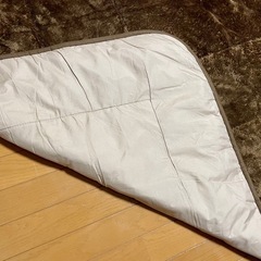ニトリ　カーペットの画像