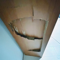 取りに来て頂ける方　お譲りしますの画像