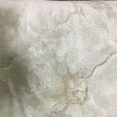 無料！22日までに取りに来れる方へ譲ります！の画像