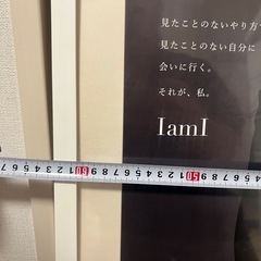 【非売品】安室奈美恵✖️KOSE特大ポスター額付きの画像