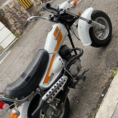 ノーティーダックス　　プチカスタム　超希少車　お宝出品の画像