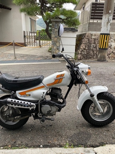 ノーティーダックス　　プチカスタム　超希少車　お宝出品