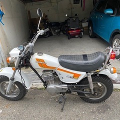 ノーティーダックス　　プチカスタム　超希少車　お宝出品の画像