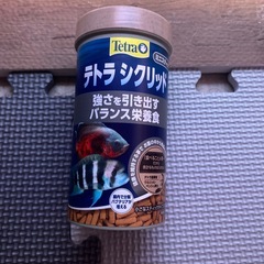 アカリクティスヘッケリィの画像
