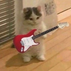 初心者バンド ベース募集🎸
