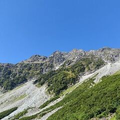 山友募集です🌳
