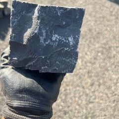 DIYにいかがですか？ピンコロ(グレー)の画像