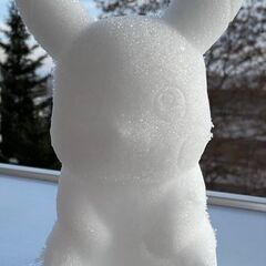 ピカチュウ　雪玉メーカー　①　雪　雪遊び　雪あそび　子供　おもちゃ　可愛い　砂遊び　スノーメーカーの画像