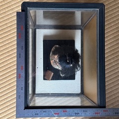 【無料】人形＆ケース付きの画像