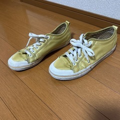 ビンテージ　adidas25センチの画像