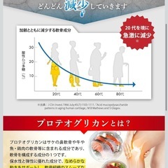 【新品】グルコサミンのチカラ サプリ 関節 膝 サポート 歩行サポート ビタミン配合 プロテオグリカン ヒアルロン酸 ハトムギの画像