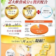 【新品】グルコサミンのチカラ サプリ 関節 膝 サポート 歩行サポート ビタミン配合 プロテオグリカン ヒアルロン酸 ハトムギの画像