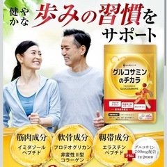 【新品】グルコサミンのチカラ サプリ 関節 膝 サポート 歩行サポート ビタミン配合 プロテオグリカン ヒアルロン酸 ハトムギの画像
