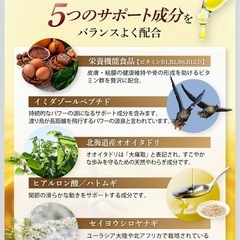 【新品】グルコサミンのチカラ サプリ 関節 膝 サポート 歩行サポート ビタミン配合 プロテオグリカン ヒアルロン酸 ハトムギの画像