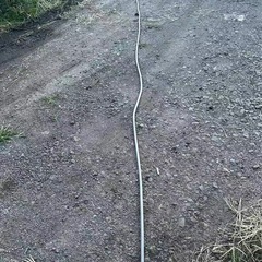 約 40m 長 産業用電源延長コードの画像