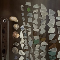 シーグラス シー陶器 貝殻 まとめ売り 天然 ガラス ハンドメイド、アートにの画像