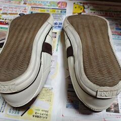 Lee リー 靴 スニーカー 25cm の画像
