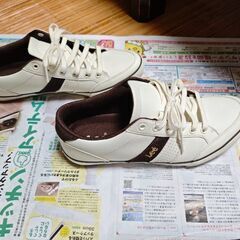 Lee リー 靴 スニーカー 25cm の画像