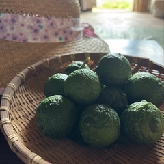 【福井県産:無農薬】早摘み青柚子10玉(1玉おまけあり)の画像