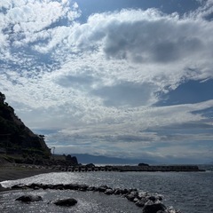 【福井県産:無農薬】早摘み青柚子10玉(1玉おまけあり)の画像