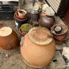 壺　鉢　金魚の画像