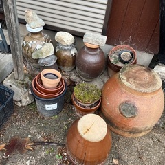 壺　鉢　金魚の画像