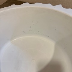 切株キャットハウスの画像