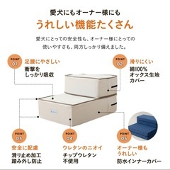 ドッグステップ の画像