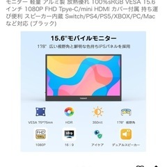 【予約済】モバイルモニター　15.6インチの画像