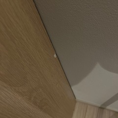 本棚２つ【一旦締切ります 】の画像
