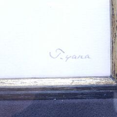 真作 柳田補 T.yana 鉛筆画 女性画 人物画 額装の画像