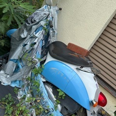 HONDA Live dio と　HONDA スクーピー　バイクのセット売り　こちら優先売り の画像
