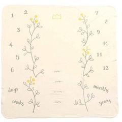 新品 アプレレクール おひるねブランケット の画像