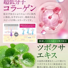 【4袋】プラセンタ ピュアビタ 悩み解決ラボ サプリの画像