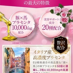 【4袋】プラセンタ ピュアビタ 悩み解決ラボ サプリの画像