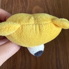 カラカラの画像