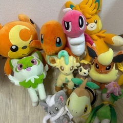 ポケモン　ぬいぐるみの画像
