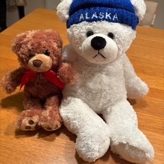 美品❗️クマのぬいぐるみ５個の画像