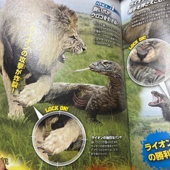 動物最強王図鑑の画像
