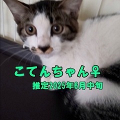 🍀９月２１日(日)🐈すみれペットクリニック様にて『 立川地…