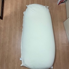 ヨギボー　　の画像