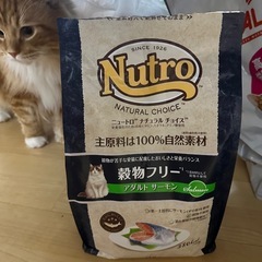 キャットフードの画像
