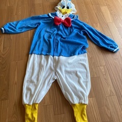 ドナルド　着ぐるみ　大人の画像