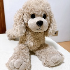犬　いぬ　わんちゃん　ぬいぐるみ
の画像
