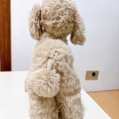 犬　いぬ　わんちゃん　ぬいぐるみ
の画像