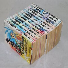 天地無用！　魎皇鬼　全12巻セットの画像