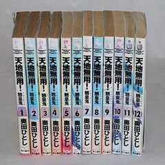 天地無用！　魎皇鬼　全12巻セットの画像