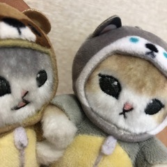 年齢が25から38までの方、社会人の友達交流会しませんか🌸