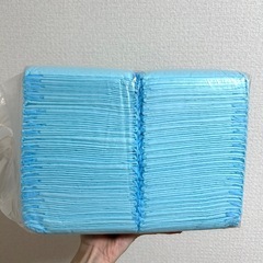 ペットシーツ　ワイド　45cm×60cm　　の画像