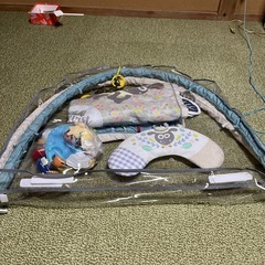 ショーンのベビージムの画像